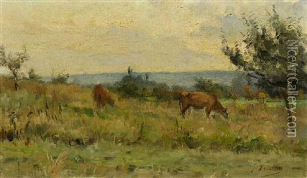 Weidende Kuhe Oil Painting - Jules Petillion