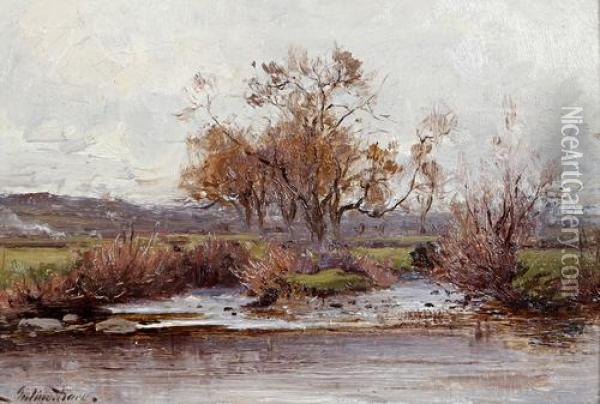 On Dolgarrog Stream, Conway Valley Oil Painting - Julius Hare