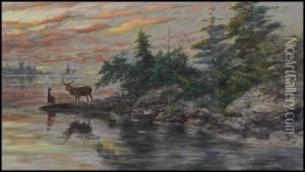 Deer At A Lakeshore Oil Painting - Marmaduke Matthews