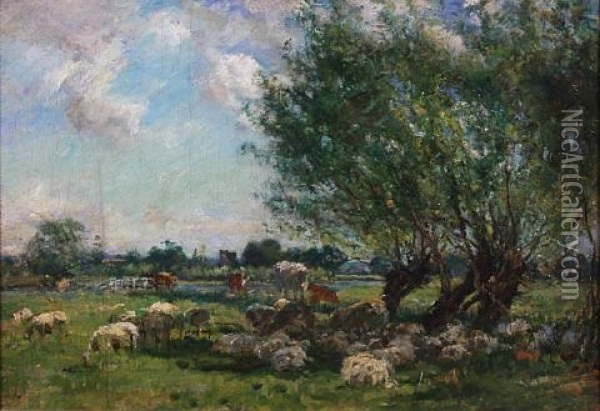 Sheep And Cattle Resting In The Shade Oil Painting - Mark William Fisher