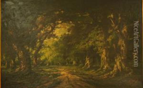 Effets De Lumiere Dans La Clairiere Oil Painting - Adolfo A. Ferraguti Visconti