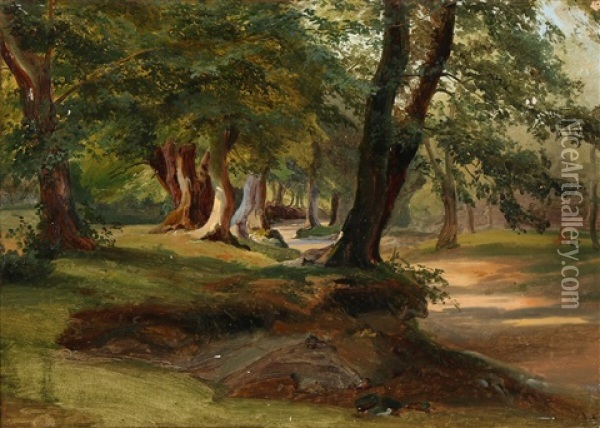 A Forest Path With Light Coming Through The Trees Oil Painting - Anders Christian Lunde