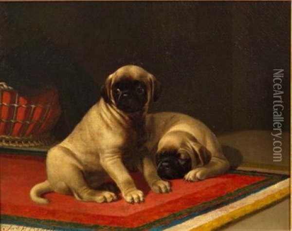 Two Pugs On A Red, White, And Blue Rug Oil Painting - James Henry Beard