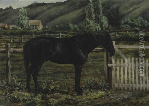 Horse On A Ranch, Marin County Oil Painting - George Henry Burgess