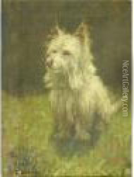 'frosty', Portraitof A Seated Long-haired Terrier Oil Painting - George Paice