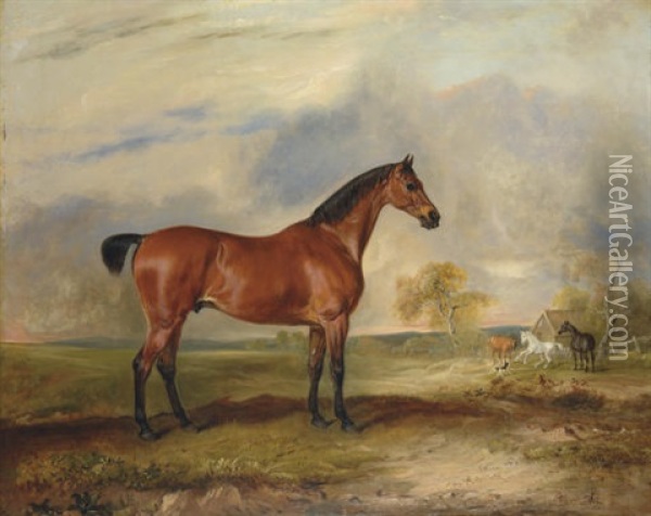 A Bay Hunter In An Extensive Landscape, With Other Horses Beyond Oil Painting - John E. Ferneley