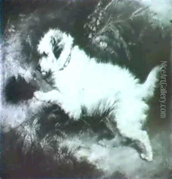 A Terrier At A Rabbit Hole Oil Painting - George Armfield