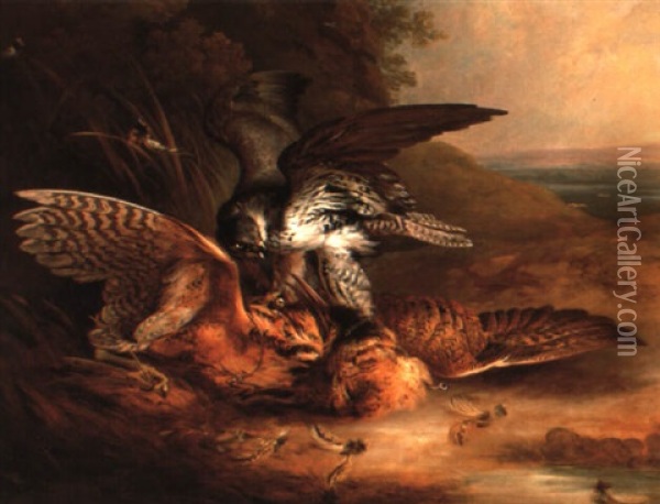 A Peregrine Falcon Attacking A Bittern Oil Painting - Philipp Reinagle