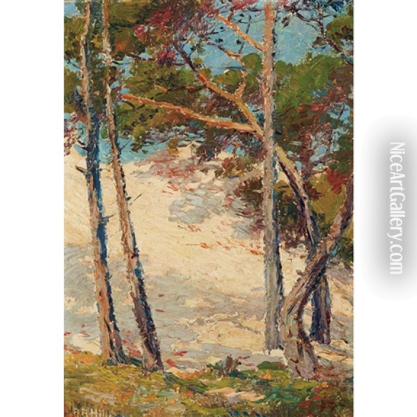 Pines Near Pacific Grove Oil Painting - Anna Althea Hills