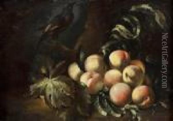 Composizione Con Pesche Ed Uccello Oil Painting - Michele Pace Del (Michelangelo di) Campidoglio