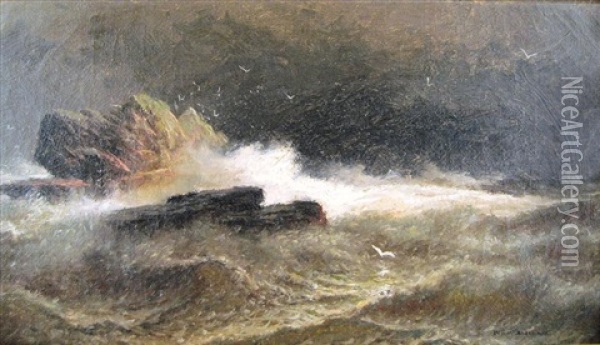 Ocean Waves Crashing On Rocks Oil Painting - William H. Weisman