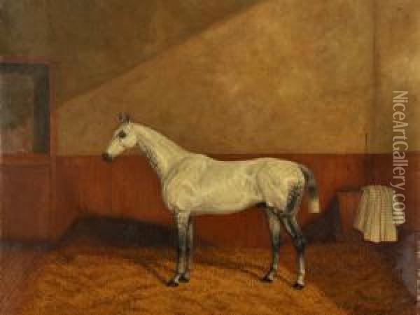 A Grey Hunter In A Stable Oil Painting - A. Clark