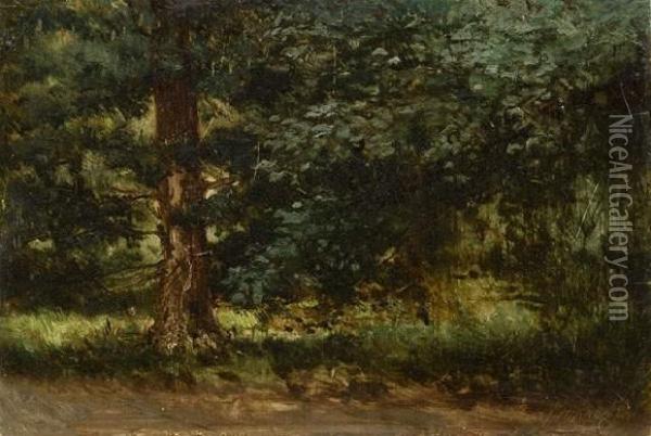 Forest Oil Painting - Pavel Alexandrovitch Briullov