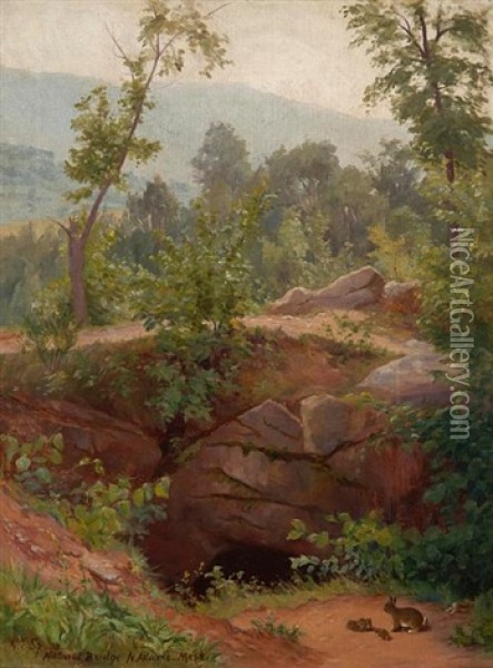 Natural Bridge N. Adams, Mass. Oil Painting - Gertrude E. Spurr Cutts