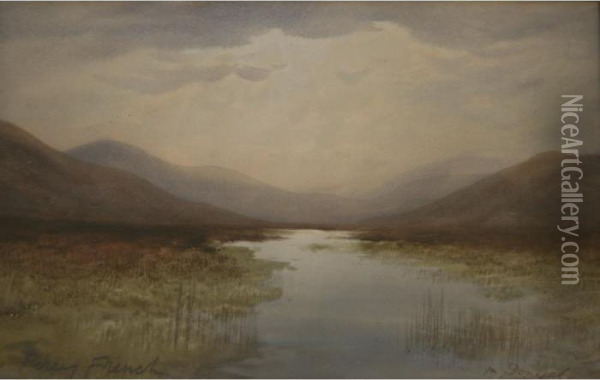 In Donegal Oil Painting - William Percy French