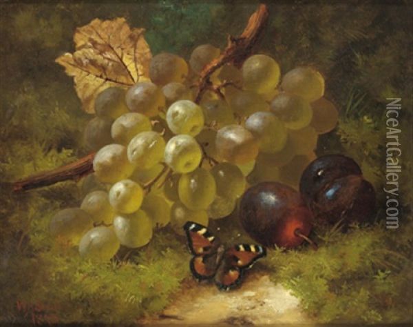 Stilleben Mit Weintrauben, Pflaumen Und Einem Schmetterling Am Waldboden Oil Painting - William Harding Smith