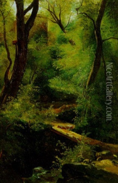 Petit Ruisseau En Foret Oil Painting - Theodore Rousseau