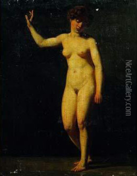 Academie De Femme Oil Painting - Jacques Antoine Vallin