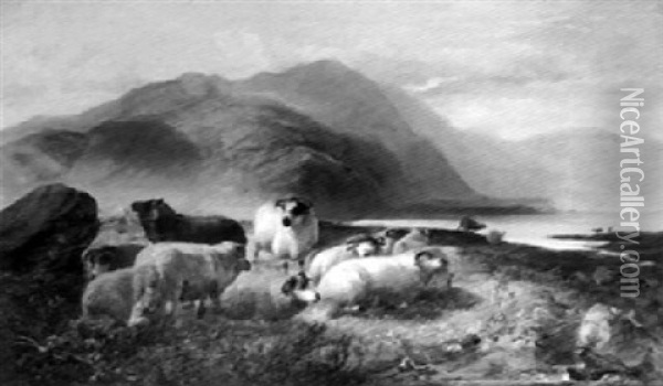 Highland Sheep Resting Oil Painting - Joseph Denovan Adam