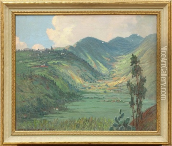 View Of Hawaiian Valley Oil Painting - David Howard Hitchcock
