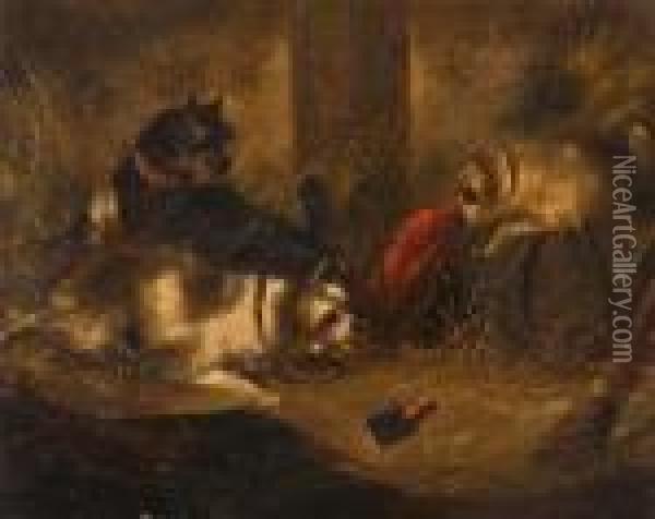 Three Terriers In A Barn Oil Painting - George Armfield