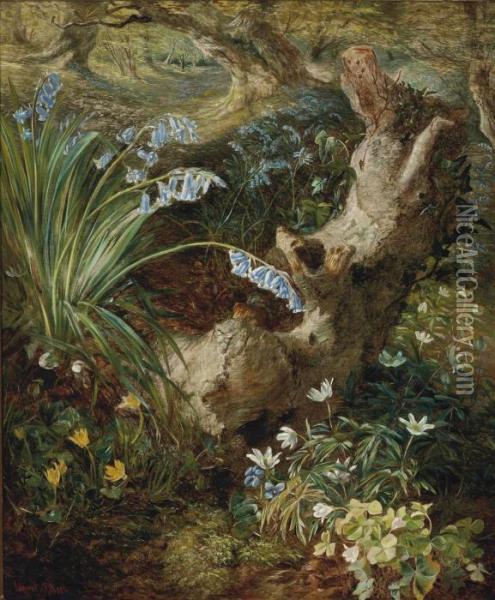 Bluebells, Aquilegias, Primroses And Ivy Growing Around A Tree Stump Oil Painting - Henry Larpent Roberts