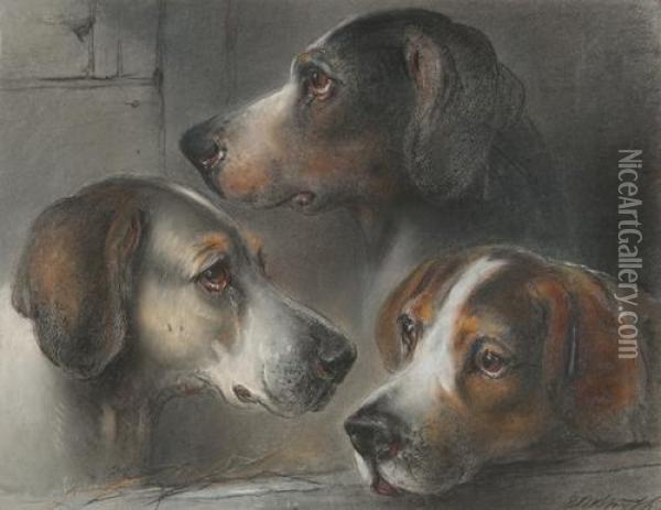 Three Hounds Heads Oil Painting - Edward Robert Smythe