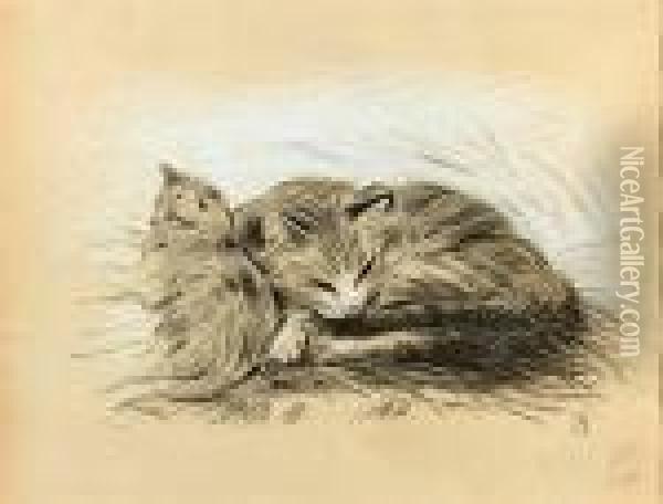 Deux Chats Oil Painting - Theophile Alexandre Steinlen