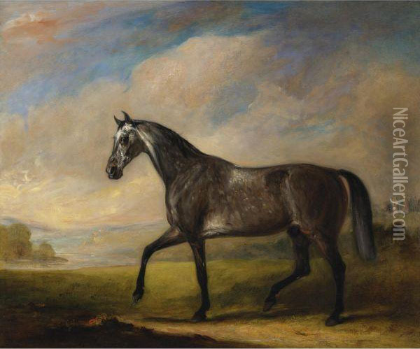 A Dappled Grey Horse In An Extensive Landscape Oil Painting - John Snr Ferneley