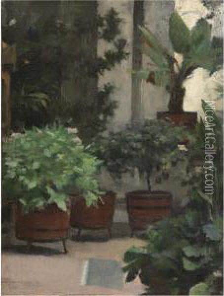 Rincon De Mi Jardin (corner Of My Garden) Oil Painting - Ramon Casas Y Carbo