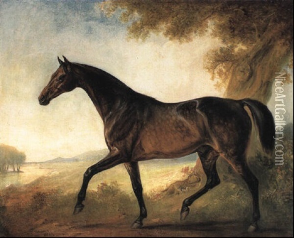 Dappled Bay Stallion In Wooded River Landscape Oil Painting - John E. Ferneley