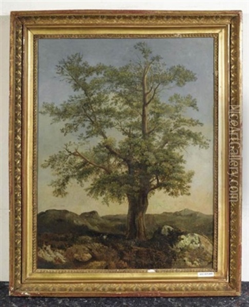 Baum In Landschaft Oil Painting - Achille Etna Michallon