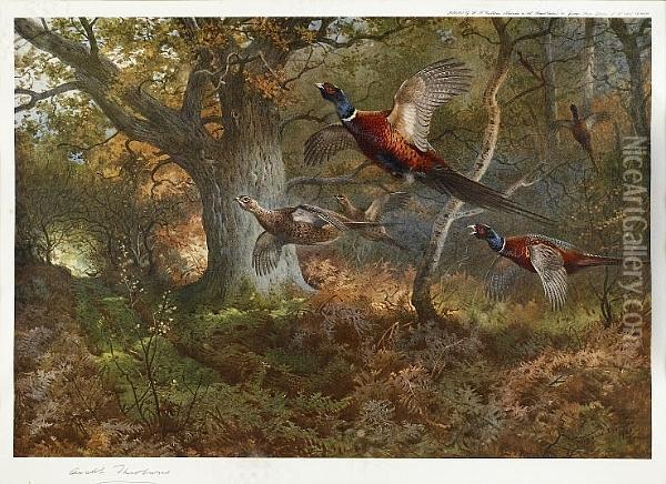 Signed Proofs, Pheasants And Partridges (2) Oil Painting - Archibald Thorburn