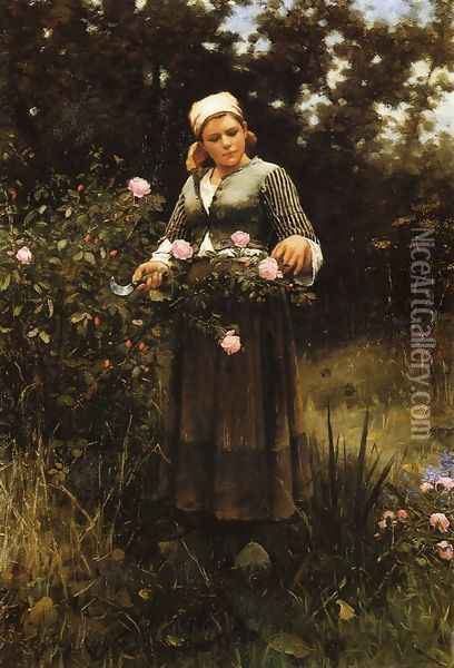 Gathering Roses Oil Painting - Daniel Ridgway Knight