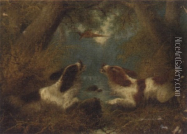 Spaniels Flushing A Pheasant Oil Painting - Edward Armfield