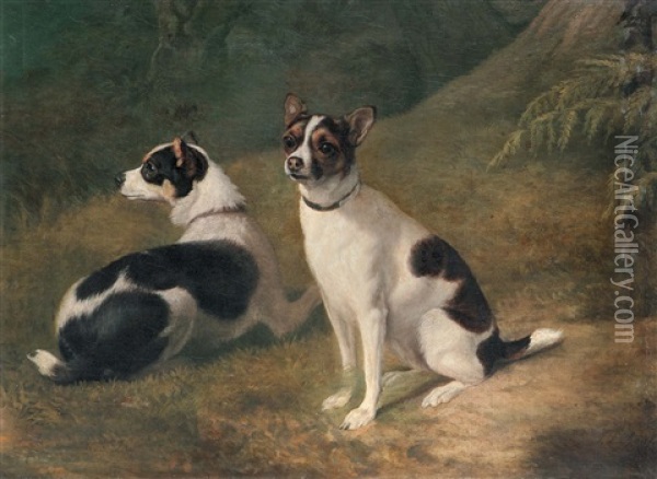 Deux Chiens - Zwei Jack Russel Terriers Oil Painting - Jacques-Laurent Agasse