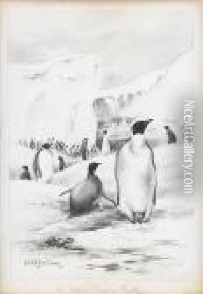 An Empire Penguin Rookery Oil Painting - Edward Adrian Wilson