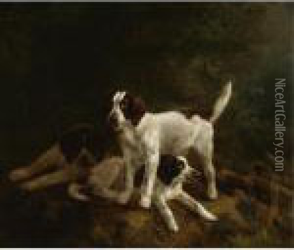 Play Time For Puppies Oil Painting - Henriette Ronner-Knip