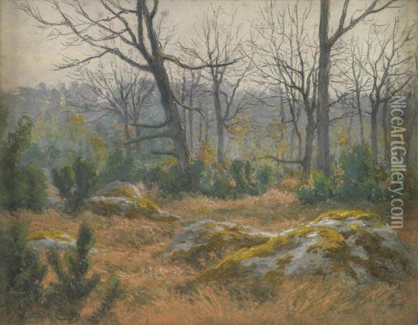 Sous Bois A Fontainebleau Oil Painting - Albert Caron