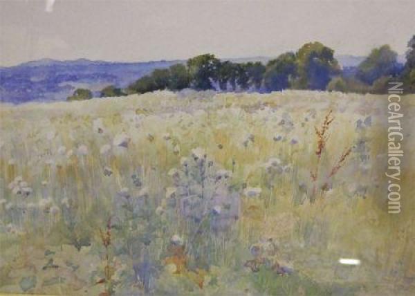 Near Godalming Oil Painting - Claude Hayes