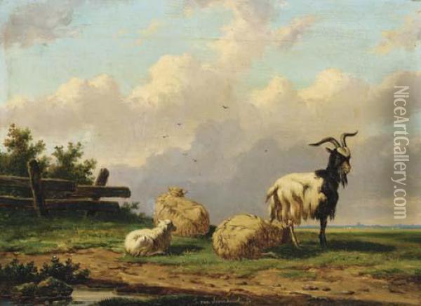 Sheep And A Goat In A Country Landscape Oil Painting - Franz van Severdonck