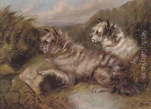 Terriers on the scent Oil Painting - George Armfield