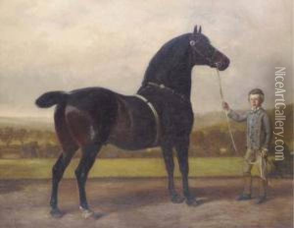 Greatshot, Held By A Groom Oil Painting - Samuel John Carter
