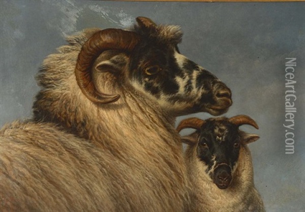 Portrait Of A Ram With Companion Alongside Oil Painting - Charles Jones