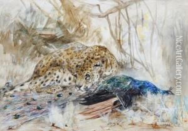 Leopard And Peacock Oil Painting - Cuthbert Edmund Swan
