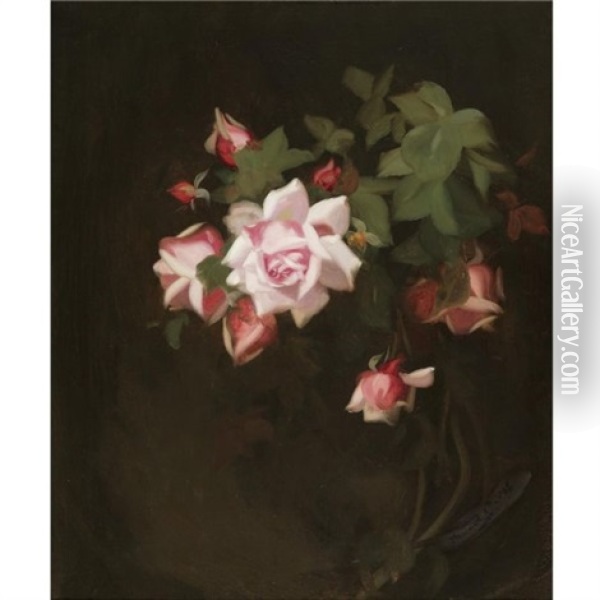 Still Life With Pink Roses Oil Painting - Stuart James Park