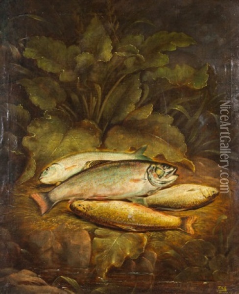 Trout On The Bank Oil Painting - Charles Tice