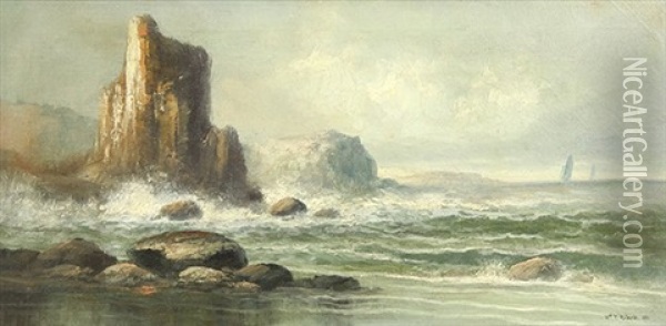 Rocky Coastline With The Ships In The Distance Oil Painting - William Trost Richards