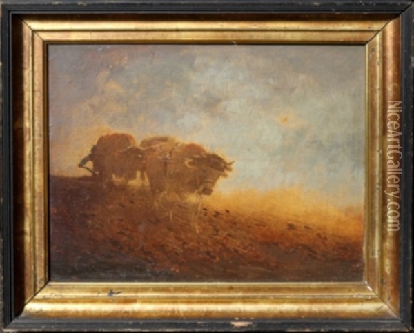 Man Plowing With Cattle Oil Painting - A.S. Campbell