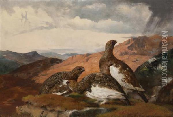 Three Grouse Oil Painting - John Christopher Bell